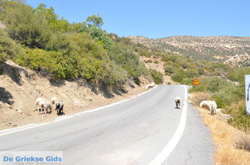 Kali Limenes | Zuid Kreta Griekenland 24 - Foto van https://www.grieksegids.nl/fotos/eiland-kreta/fotos/zuidkreta/normaal/zuid-kreta-grieksegids-0603.jpg