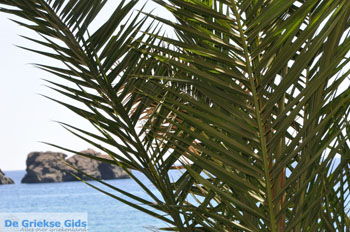 Kali Limenes | Zuid Kreta Griekenland 38 - Foto van https://www.grieksegids.nl/fotos/eiland-kreta/fotos/zuidkreta/normaal/zuid-kreta-grieksegids-0618.jpg