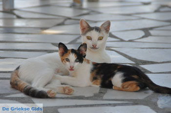 Lendas (Lentas) | Zuid Kreta Griekenland 15 - Foto van https://www.grieksegids.nl/fotos/eiland-kreta/fotos/zuidkreta/normaal/zuid-kreta-grieksegids-0641.jpg