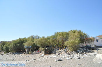 Lendas (Lentas) | Zuid Kreta Griekenland 32 - Foto van https://www.grieksegids.nl/fotos/eiland-kreta/fotos/zuidkreta/normaal/zuid-kreta-grieksegids-0658.jpg