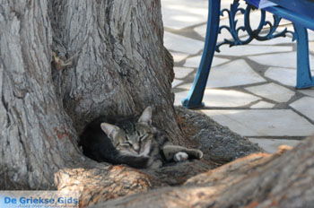 Lendas (Lentas) | Zuid Kreta Griekenland 37 - Foto van https://www.grieksegids.nl/fotos/eiland-kreta/fotos/zuidkreta/normaal/zuid-kreta-grieksegids-0663.jpg