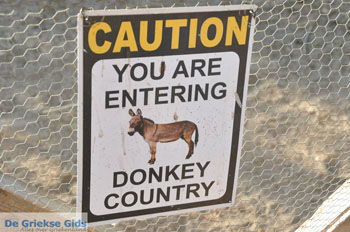 Ezelopvang Aghia Marina bij Petrokefali | Zuid Kreta Griekenland 1 - Foto van https://www.grieksegids.nl/fotos/eiland-kreta/fotos/zuidkreta/normaal/zuid-kreta-grieksegids-0718.jpg