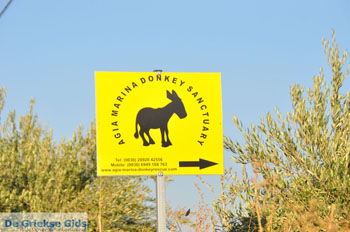 Ezelopvang Aghia Marina bij Petrokefali | Zuid Kreta Griekenland 35 - Foto van https://www.grieksegids.nl/fotos/eiland-kreta/fotos/zuidkreta/normaal/zuid-kreta-grieksegids-0752.jpg