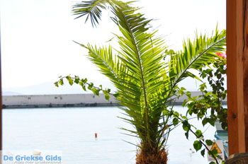 Agia Galini | Zuid Kreta Griekenland 029 - Foto van https://www.grieksegids.nl/fotos/eiland-kreta/fotos/zuidkreta/normaal/zuid-kreta-grieksegids-0781.jpg