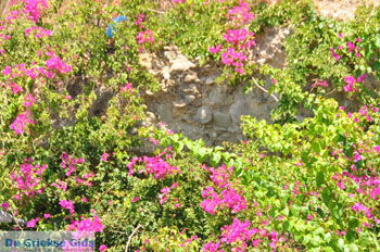 Agia Galini | Zuid Kreta Griekenland 039 - Foto van https://www.grieksegids.nl/fotos/eiland-kreta/fotos/zuidkreta/normaal/zuid-kreta-grieksegids-0791.jpg