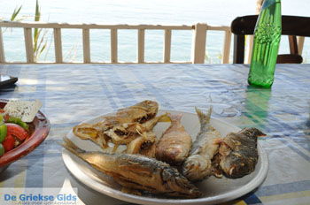 Agios Georgios | Zuid Kreta Griekenland 29 - Foto van https://www.grieksegids.nl/fotos/eiland-kreta/fotos/zuidkreta/normaal/zuid-kreta-grieksegids-0853.jpg