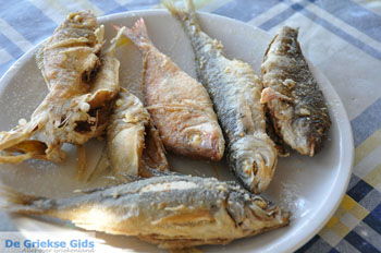 Agios Georgios | Zuid Kreta Griekenland 30 - Foto van https://www.grieksegids.nl/fotos/eiland-kreta/fotos/zuidkreta/normaal/zuid-kreta-grieksegids-0854.jpg