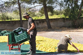 Panagia Kaliviani bij Mires| Zuid Kreta Griekenland 5 - Foto van https://www.grieksegids.nl/fotos/eiland-kreta/fotos/zuidkreta/normaal/zuid-kreta-grieksegids-0890.jpg
