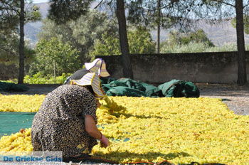 Panagia Kaliviani bij Mires| Zuid Kreta Griekenland 6 - Foto van https://www.grieksegids.nl/fotos/eiland-kreta/fotos/zuidkreta/normaal/zuid-kreta-grieksegids-0891.jpg