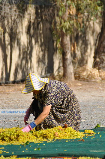Panagia Kaliviani bij Mires| Zuid Kreta Griekenland 11 - Foto van https://www.grieksegids.nl/fotos/eiland-kreta/fotos/zuidkreta/normaal/zuid-kreta-grieksegids-0896.jpg