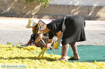 Panagia Kaliviani bij Mires| Zuid Kreta Griekenland 13 - Foto van https://www.grieksegids.nl/fotos/eiland-kreta/fotos/zuidkreta/normaal/zuid-kreta-grieksegids-0898.jpg