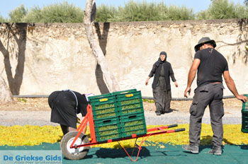 Panagia Kaliviani bij Mires| Zuid Kreta Griekenland 16 - Foto van https://www.grieksegids.nl/fotos/eiland-kreta/fotos/zuidkreta/normaal/zuid-kreta-grieksegids-0901.jpg