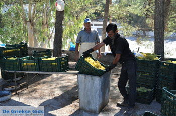 Panagia Kaliviani bij Mires| Zuid Kreta Griekenland 19 - Foto van https://www.grieksegids.nl/fotos/eiland-kreta/fotos/zuidkreta/normaal/zuid-kreta-grieksegids-0904.jpg