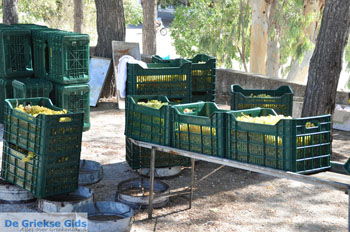 Panagia Kaliviani bij Mires| Zuid Kreta Griekenland 20 - Foto van https://www.grieksegids.nl/fotos/eiland-kreta/fotos/zuidkreta/normaal/zuid-kreta-grieksegids-0905.jpg