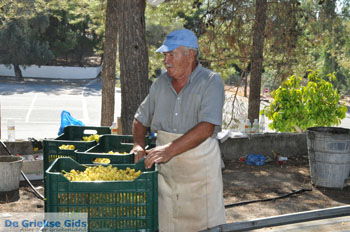 Panagia Kaliviani bij Mires| Zuid Kreta Griekenland 23 - Foto van https://www.grieksegids.nl/fotos/eiland-kreta/fotos/zuidkreta/normaal/zuid-kreta-grieksegids-0908.jpg
