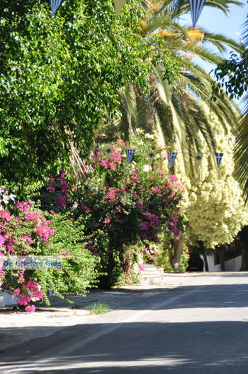 Panagia Kaliviani bij Mires| Zuid Kreta Griekenland 25 - Foto van https://www.grieksegids.nl/fotos/eiland-kreta/fotos/zuidkreta/normaal/zuid-kreta-grieksegids-0910.jpg