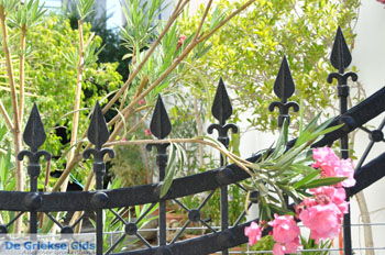 Vori | Zuid Kreta Griekenland 45 - Foto van https://www.grieksegids.nl/fotos/eiland-kreta/fotos/zuidkreta/normaal/zuid-kreta-grieksegids-0996.jpg