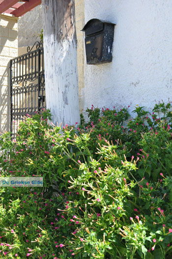 Kamilari | Zuid Kreta Griekenland 10 - Foto van https://www.grieksegids.nl/fotos/eiland-kreta/fotos/zuidkreta/normaal/zuid-kreta-grieksegids-1030.jpg