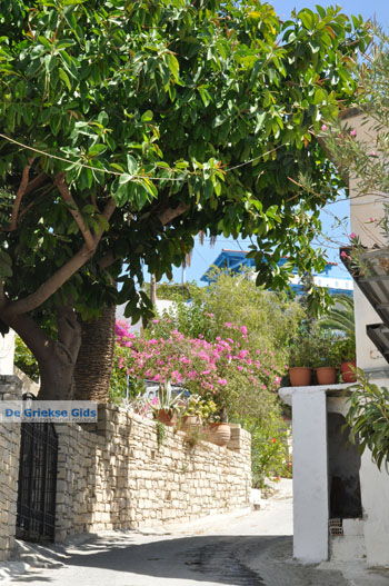 Kamilari | Zuid Kreta Griekenland 12 - Foto van https://www.grieksegids.nl/fotos/eiland-kreta/fotos/zuidkreta/normaal/zuid-kreta-grieksegids-1032.jpg