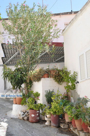 Kamilari | Zuid Kreta Griekenland 13 - Foto van https://www.grieksegids.nl/fotos/eiland-kreta/fotos/zuidkreta/normaal/zuid-kreta-grieksegids-1033.jpg