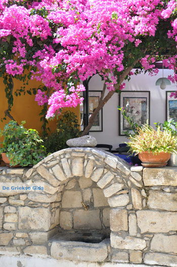 Kamilari | Zuid Kreta Griekenland 19 - Foto van https://www.grieksegids.nl/fotos/eiland-kreta/fotos/zuidkreta/normaal/zuid-kreta-grieksegids-1039.jpg