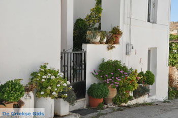 Kamilari | Zuid Kreta Griekenland 36 - Foto van https://www.grieksegids.nl/fotos/eiland-kreta/fotos/zuidkreta/normaal/zuid-kreta-grieksegids-1056.jpg