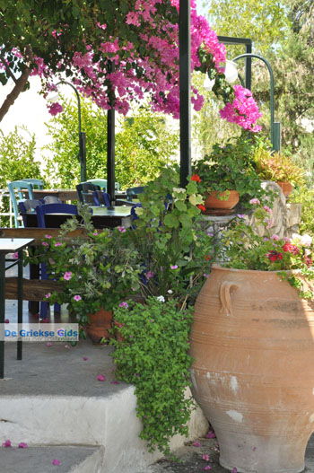 Kamilari | Zuid Kreta Griekenland 38 - Foto van https://www.grieksegids.nl/fotos/eiland-kreta/fotos/zuidkreta/normaal/zuid-kreta-grieksegids-1058.jpg