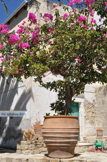 Kamilari | Zuid Kreta Griekenland 39 - Foto van https://www.grieksegids.nl/fotos/eiland-kreta/fotos/zuidkreta/normaal/zuid-kreta-grieksegids-1059.jpg