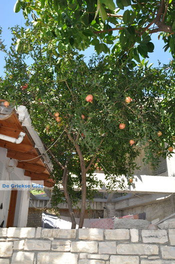 Kamilari | Zuid Kreta Griekenland 43 - Foto van https://www.grieksegids.nl/fotos/eiland-kreta/fotos/zuidkreta/normaal/zuid-kreta-grieksegids-1063.jpg