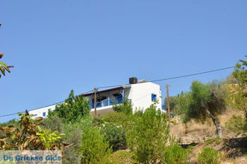 Kamilari | Zuid Kreta Griekenland 46 - Foto van https://www.grieksegids.nl/fotos/eiland-kreta/fotos/zuidkreta/normaal/zuid-kreta-grieksegids-1066.jpg