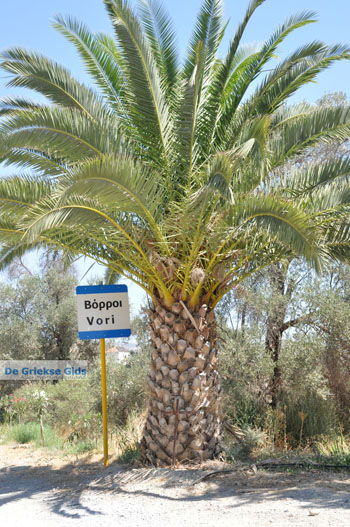 Vori | Zuid Kreta Griekenland 74 - Foto van https://www.grieksegids.nl/fotos/eiland-kreta/fotos/zuidkreta/normaal/zuid-kreta-grieksegids-1084.jpg