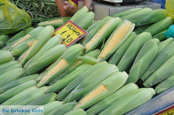 Timbaki | Zuid Kreta Griekenland 11 - Foto van https://www.grieksegids.nl/fotos/eiland-kreta/fotos/zuidkreta/normaal/zuid-kreta-grieksegids-1146.jpg