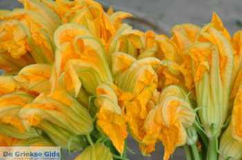 Timbaki | Zuid Kreta Griekenland 19 - Foto van https://www.grieksegids.nl/fotos/eiland-kreta/fotos/zuidkreta/normaal/zuid-kreta-grieksegids-1154.jpg