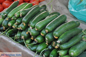 Timbaki | Zuid Kreta Griekenland 20 - Foto van https://www.grieksegids.nl/fotos/eiland-kreta/fotos/zuidkreta/normaal/zuid-kreta-grieksegids-1155.jpg