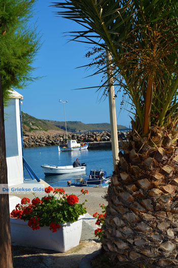 Aghia Pelagia | Kythira Griekenland 50 - Foto van https://www.grieksegids.nl/fotos/eiland-kythira/aghia-pelagia/normaal/aghia-pelagia-kythira-050.jpg