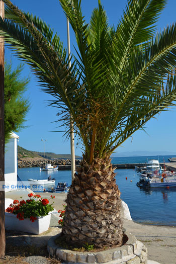 Aghia Pelagia | Kythira Griekenland 51 - Foto van https://www.grieksegids.nl/fotos/eiland-kythira/aghia-pelagia/normaal/aghia-pelagia-kythira-051.jpg