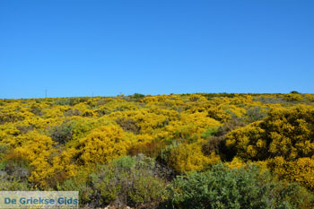 Aghia Pelagia | Kythira Griekenland 87 - Foto van https://www.grieksegids.nl/fotos/eiland-kythira/aghia-pelagia/normaal/aghia-pelagia-kythira-087.jpg