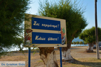 Aghia Pelagia | Kythira Griekenland 114 - Foto van https://www.grieksegids.nl/fotos/eiland-kythira/aghia-pelagia/normaal/aghia-pelagia-kythira-114.jpg