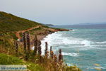 Aghia Pelagia Kythira | Strand Lagada foto 26 - Foto van De Griekse Gids