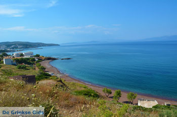 Firi Ammos Aghia Pelagia Kythira 3 - Foto van https://www.grieksegids.nl/fotos/eiland-kythira/aghiapelagia-lagada/normaal/aghia-pelagia-kythira-212.jpg