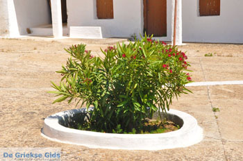 Agia Moni bij Diakofti | Kythira | De Griekse Gids 11 - Foto van https://www.grieksegids.nl/fotos/eiland-kythira/agia-moni-diakofti/normaal/agia-moni-diakofti-kythira-011.jpg