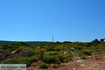 Agia Moni bij Diakofti | Kythira | De Griekse Gids 26 - Foto van https://www.grieksegids.nl/fotos/eiland-kythira/agia-moni-diakofti/normaal/agia-moni-diakofti-kythira-026.jpg