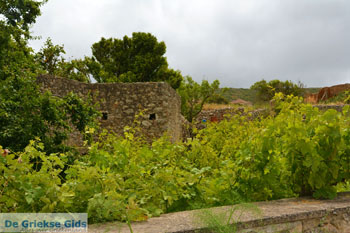 Aroniadika Kythira | Griekenland 7 - Foto van https://www.grieksegids.nl/fotos/eiland-kythira/aroniadika/normaal/aroniadika-kythira-007.jpg
