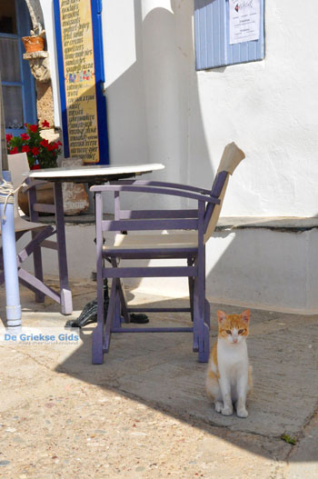 Avlemonas Kythira | Griekenland 8 - Foto van https://www.grieksegids.nl/fotos/eiland-kythira/avlemonas/normaal/avlemonas-kythira-008.jpg