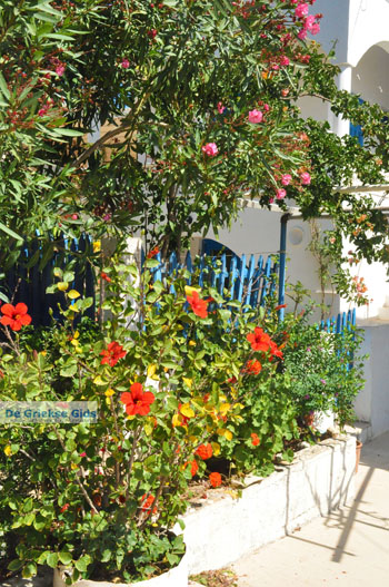 Avlemonas Kythira | Griekenland 30 - Foto van https://www.grieksegids.nl/fotos/eiland-kythira/avlemonas/normaal/avlemonas-kythira-030.jpg