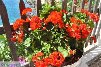 Avlemonas Kythira | Griekenland 47 - Foto van https://www.grieksegids.nl/fotos/eiland-kythira/avlemonas/normaal/avlemonas-kythira-047.jpg