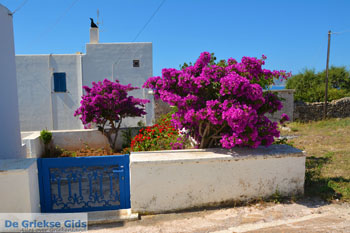 Avlemonas Kythira | Griekenland 77 - Foto van https://www.grieksegids.nl/fotos/eiland-kythira/avlemonas/normaal/avlemonas-kythira-077.jpg