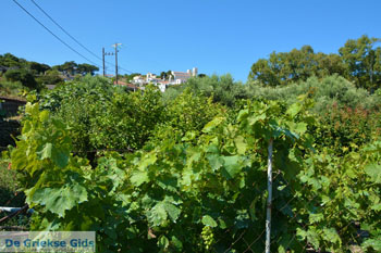 Bij de bronnen van Karavas | Kythira | Foto 2 - Foto van https://www.grieksegids.nl/fotos/eiland-kythira/bronnen-karavas/normaal/bronnen-karavas-002.jpg