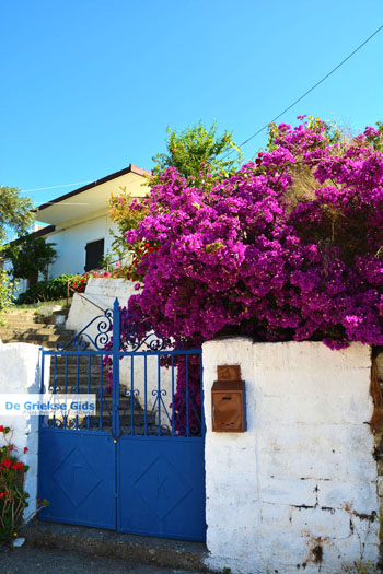 Bij de bronnen van Karavas | Kythira | Foto 10 - Foto van https://www.grieksegids.nl/fotos/eiland-kythira/bronnen-karavas/normaal/bronnen-karavas-010.jpg