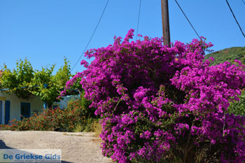 Bij de bronnen van Karavas | Kythira | Foto 12 - Foto van https://www.grieksegids.nl/fotos/eiland-kythira/bronnen-karavas/normaal/bronnen-karavas-012.jpg